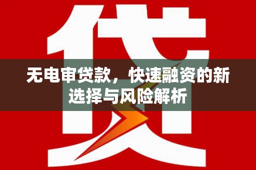 平南无电审贷款，快速融资的新选择与风险解析