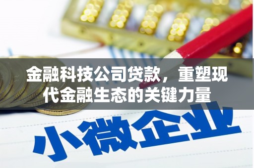 新河金融科技公司贷款，重塑现代金融生态的关键力量