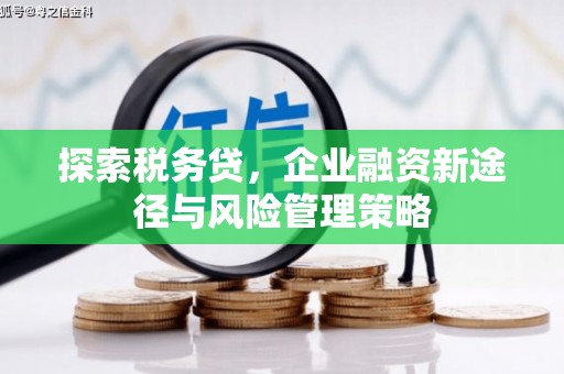 商州探索税务贷，企业融资新途径与风险管理策略