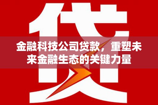 芗城金融科技公司贷款，重塑未来金融生态的关键力量