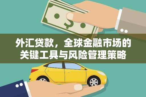 富裕外汇贷款，全球金融市场的关键工具与风险管理策略