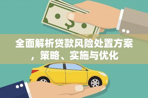 紫云全面解析贷款风险处置方案，策略、实施与优化