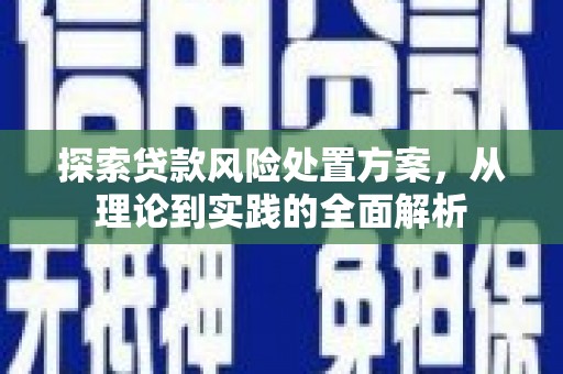 涞水探索贷款风险处置方案，从理论到实践的全面解析