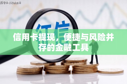 兰屿信用卡提现，便捷与风险并存的金融工具