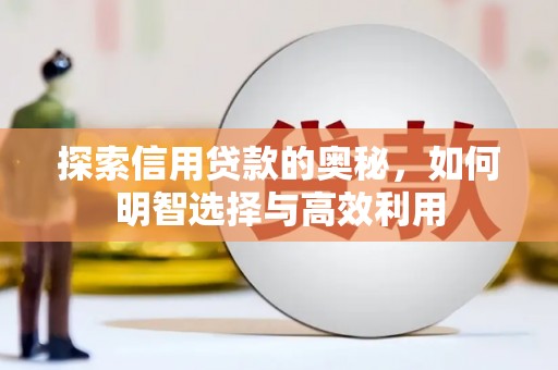 临沧探索信用贷款的奥秘，如何明智选择与高效利用