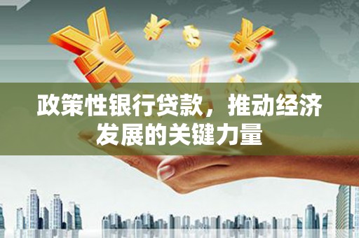 西昌政策性银行贷款，推动经济发展的关键力量