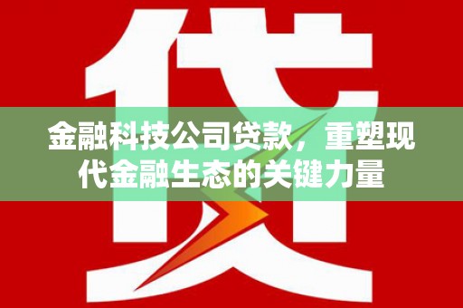 娄烦金融科技公司贷款，重塑现代金融生态的关键力量