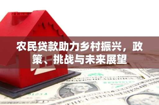 台东农民贷款助力乡村振兴，政策、挑战与未来展望