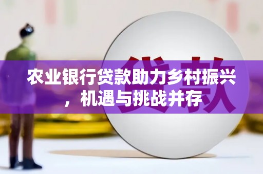 疏附农业银行贷款助力乡村振兴，机遇与挑战并存
