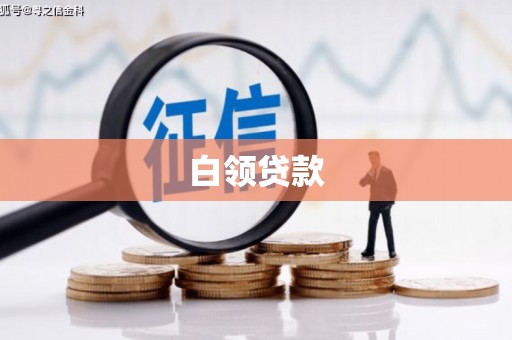 中站白领贷款