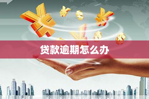 南化贷款逾期怎么办