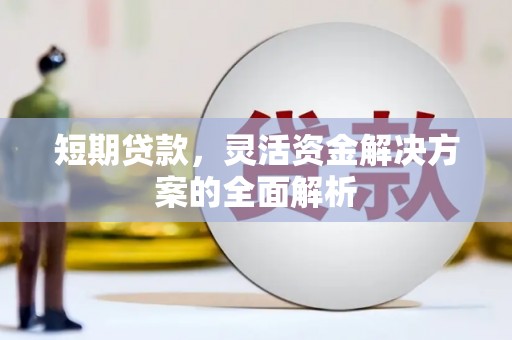 嘉陵短期贷款，灵活资金解决方案的全面解析