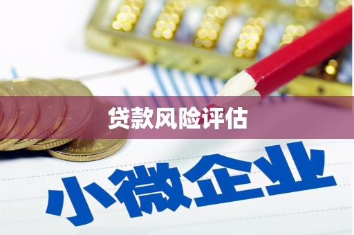 大东贷款风险评估