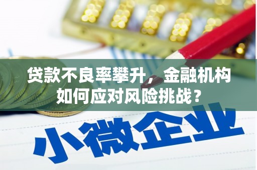 六甲贷款不良率攀升，金融机构如何应对风险挑战？