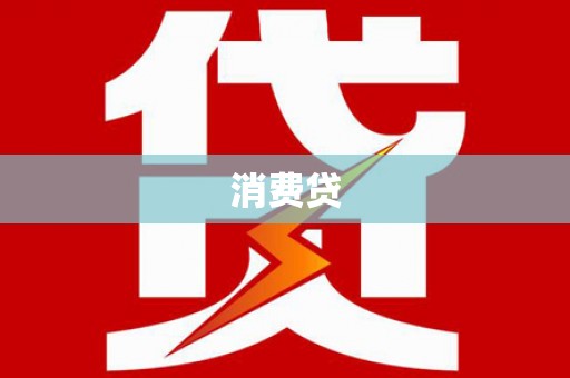 武城消费贷