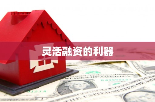 九台灵活融资的利器