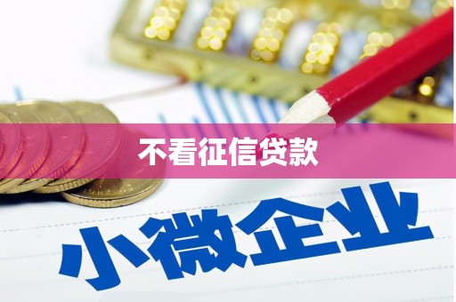 永新不看征信贷款