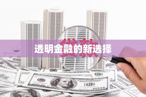 中方透明金融的新选择