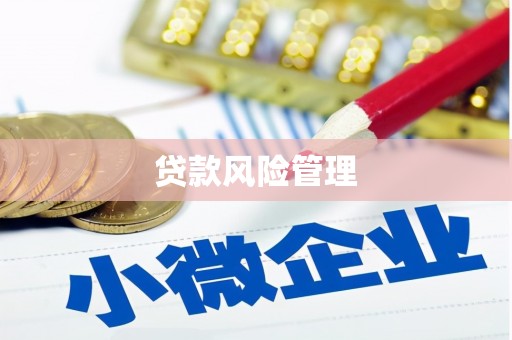 资兴贷款风险管理