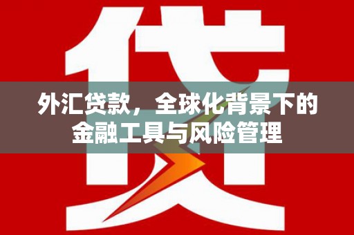 紫阳外汇贷款，全球化背景下的金融工具与风险管理